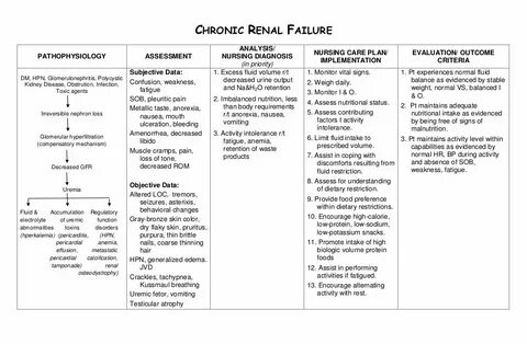 Nursing care plan chronic renal failure Nursing care plan, N