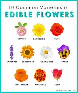 Edible flowers List of edible flowers, Edible flowers, Edibl