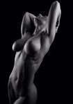 Fit Female Bodies Nude