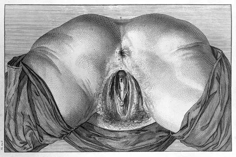 Женское влагалище в разрезе - 89 красивых секс фото