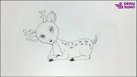 How to Draw a Baby Deer Laying Down - Draw Swan