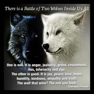 There is a battle of two wolves inside us. One is evil. It i