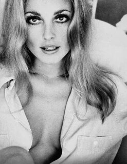 Pin by Sean Lim on VISAGE Sharon tate, Beauty, Classic beaut