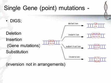 1. What are genetic disorders caused by ppt video online dow