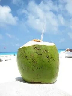 Coco Loco Drink (They had a man climb a coconut tree to make