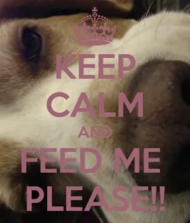 KEEP CALM AND FEED ME PLEASE!! Poster Bellah Keep Calm-o-Mat