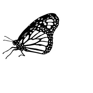 Free 317 Svg Butterfly Animation SVG PNG EPS DXF File