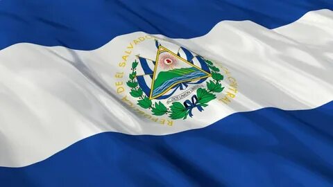 flag el salvador waving wind seamless: стоковое видео (без л