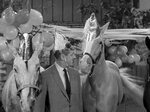 Pictures of Mister Ed