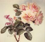 Rose_bouquet Vintage roses, Rose painting, Painting