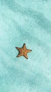 15 Turquoise iPhone Wallpapers for Mermaids Preppy Wallpaper