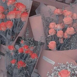 галерея капопера. Flower aesthetic, Pastel pink aesthetic, A