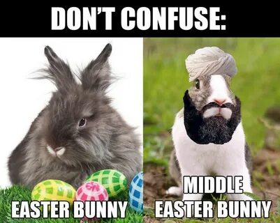Easter bunny Jokes