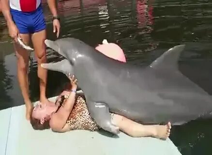 Дельфин Трахает Девушку Порно