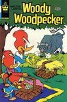 Rare Comics - Woody Woodpecker #191: Comic book collection, 