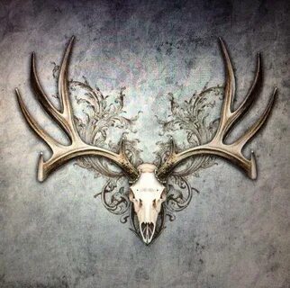 Mule deer tattoo idea. Deer tattoo, Deer skull tattoos, Elk 