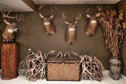 Trophy Room - Alberta Outdoorsmen Forum Deer hunting decor, 
