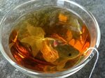 Goldfish shaped tea bag - Imgur