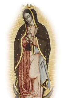 Our Lady of Guadalupe Lady guadalupe, Lady of fatima, Prince