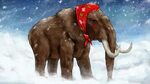 BBC Radio 4 - Natural Histories, Mammoths