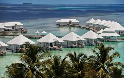 Diamonds Athuruga Maldives 5* - Мальдивы - Отели Пегас Турис