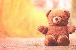 Teddy Bear Furry free image download