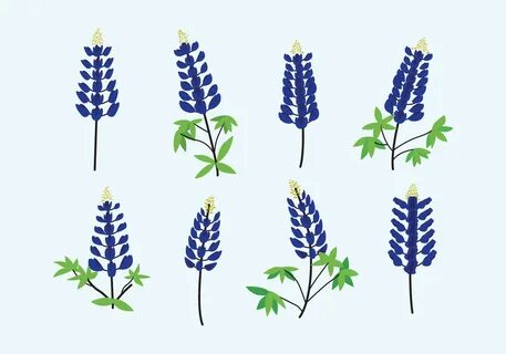 Bluebonnet Clip Art Free Related Keywords & Suggestions - Bl