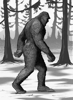 Sasquatch: Man-Ape or Myth with Researcher & Author David Ge