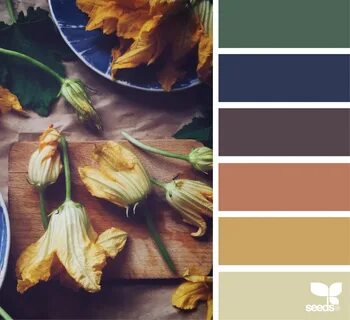 for all who ♥ color Design seeds, Seeds color, Color blendin