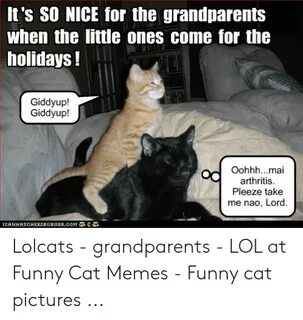 🐣 25+ Best Memes About Grandparents Meme Grandparents Memes
