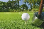 Golf Ball On Tee With Driver At Florida Course Stock Photo -