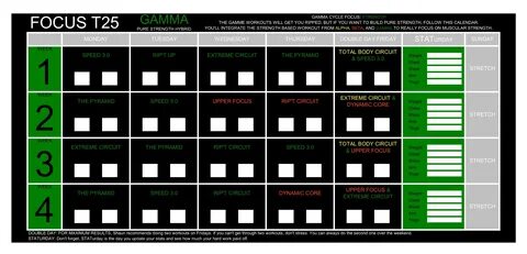 Beta & Gamma Alpha Focus T25 Radiation Detectors Business & 
