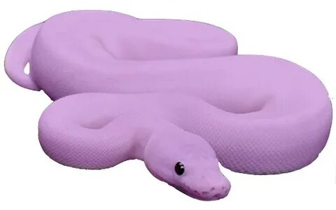 edit aesthetic purple snake 313373469126211 by @theartbts