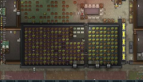 Kitchen Design Rimworld - Rimworld kitchen design - Apartmen