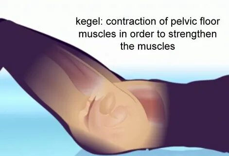 Strengthening your Pelvic Floor - Kegel Exercises - Leakylil