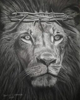 The Lion of Judah - is finally done! A3 size done with Charc