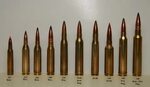 Why 308 is the Best for Hunting Comparing .308 vs .223 and .