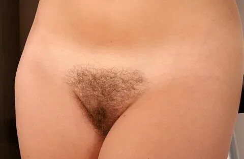 Файл:Female pubis with hair.jpg - Вікіпедія