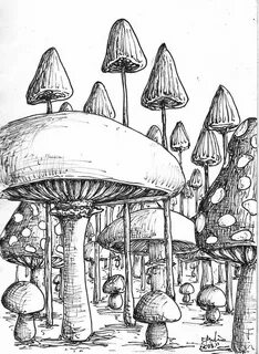 Magic Mushroom Coloring Pages Mclarenweightliftingenquiry