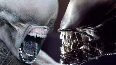 NEOMORPH VS XENOMORPH - LIFE CYCLE COMPARISON - WHICH ONE IS