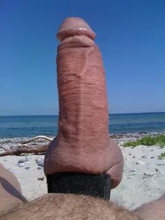 Full erect and shaved penis pics