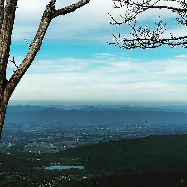 Photo by Priyanjali Sinha in Skyline Drive Naked Creek Overlook. 