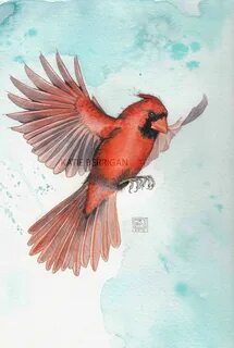 Watercolor Cardinal / painting / Etsy / bird in flight www.k