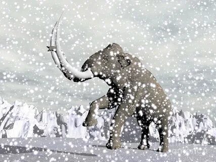 Mammoth Walking Through A Blizzard Digital Art by Elena Duve