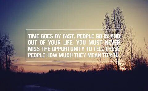 Quotes about Fast Times (42 quotes)