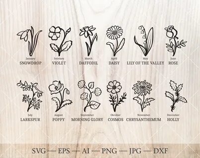 Birth Flower SVG bundle. Birth month flower outline drawings