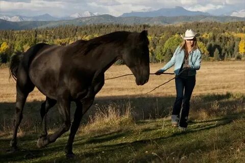 Heartland Official Blog And that was Season 5 of Heartland! 