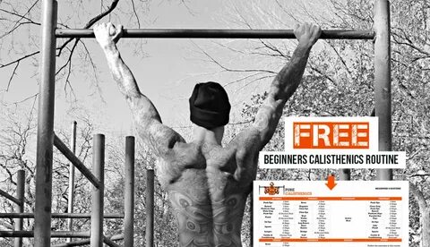 Calisthenics Workout Routine for Beginners - Pure Calistheni