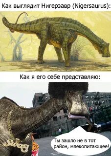 Нигерзавр Пикабу