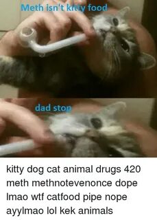 Meth Isn't Ku Dad Sto Food Kitty Dog Cat Animal Drugs 420 Me